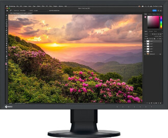 Eizo CS2400S