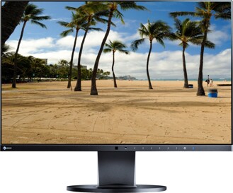 Eizo EV2450