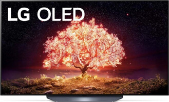 LG OLED55B13